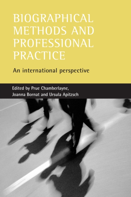 Biographical methods and professional practice : An international perspective, PDF eBook