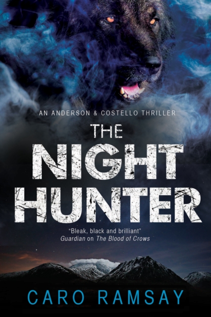 The Night Hunter, Paperback / softback Book