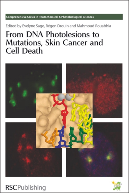 From DNA Photolesions to Mutations, Skin Cancer and Cell Death, PDF eBook