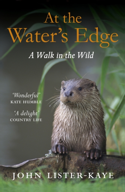 At the Water's Edge : A Walk in the Wild, Paperback / softback Book
