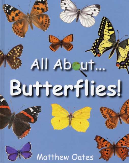 All About Butterflies, Hardback Book