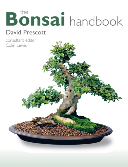 The Bonsai Handbook, Paperback / softback Book