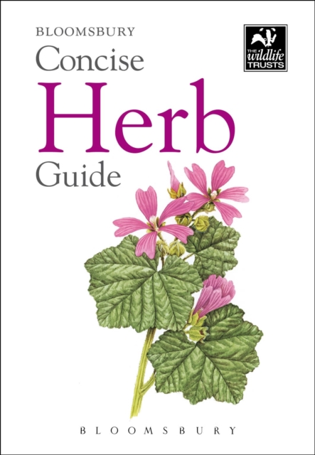 New Holland Concise Herb Guide, Paperback Book