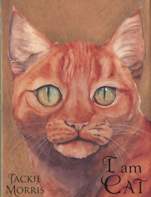 I am Cat, Hardback Book