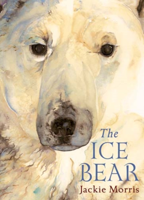 The Ice Bear Mini Edition, Hardback Book
