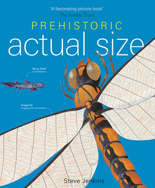 Prehistoric Actual Size, Paperback / softback Book