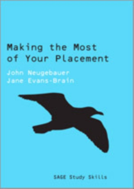 Making the Most of Your Placement, Hardback Book