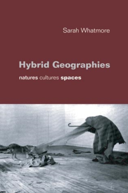 Hybrid Geographies : Natures Cultures Spaces, PDF eBook