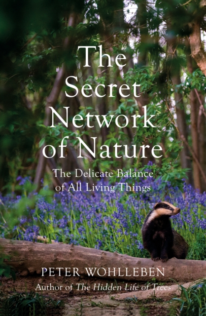 The Secret Network of Nature : The Delicate Balance of All Living Things, Hardback Book