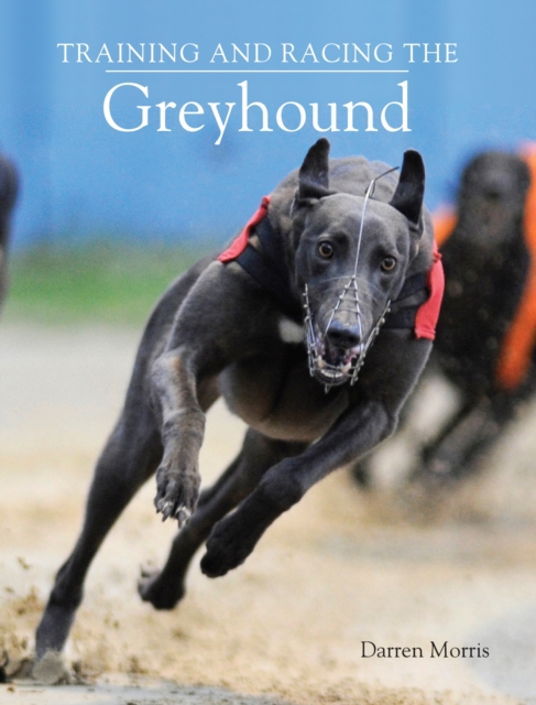 Training and Racing the Greyhound, Hardback Book