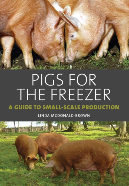 Pigs for the Freezer : A Guide to Small-Scale Production, Hardback Book