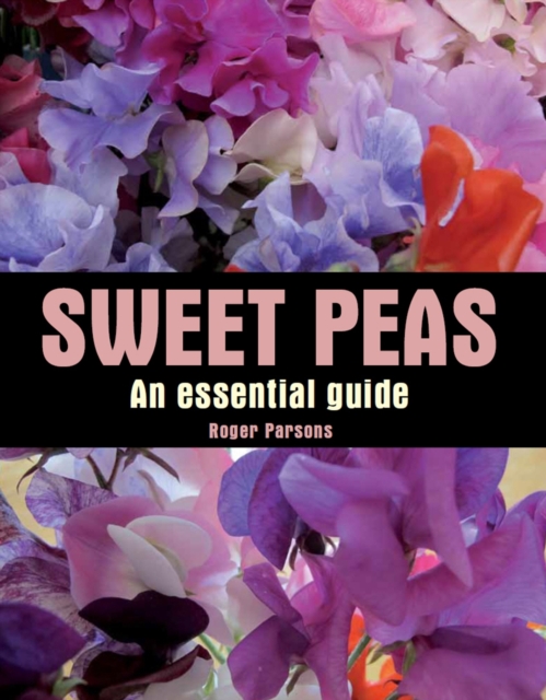 Sweet Peas : An Essential Guide, Hardback Book
