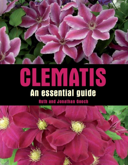 Clematis : An Essential Guide, Hardback Book