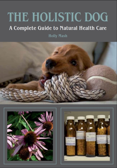 The Holistic Dog : A Complete Guide to Natural Health Care, Paperback / softback Book