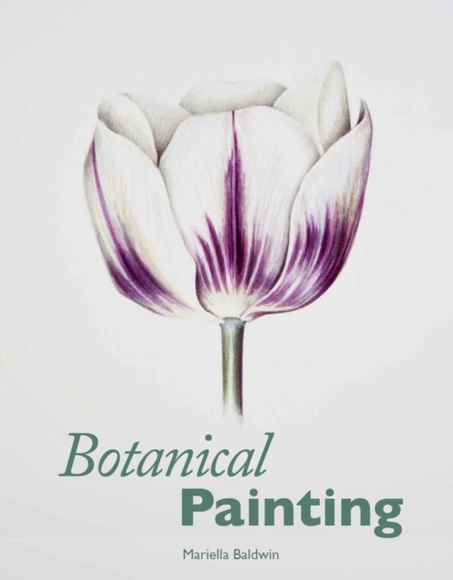 Botanical Painting, Paperback / softback Book