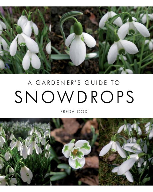 A Gardener's Guide to Snowdrops, Hardback Book