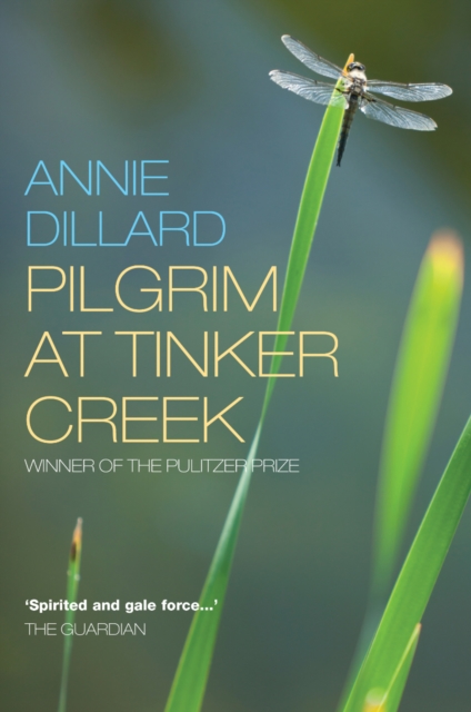 Pilgrim at Tinker Creek, Paperback / softback Book