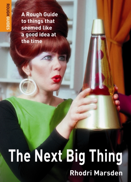 The Next Big Thing : A Rough Guide to things that seemed like a good idea at the time, PDF eBook