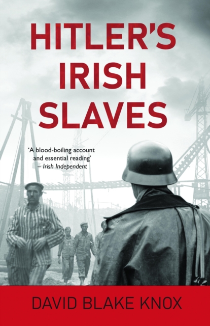 Hitler's Irish Slaves, EPUB eBook