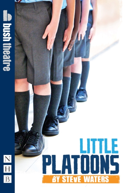 Little Platoons, Paperback / softback Book