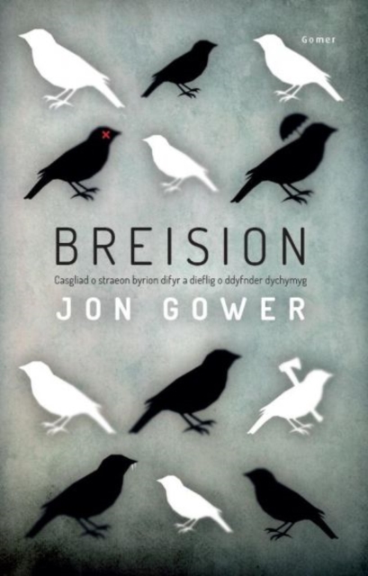 Breision, Paperback / softback Book