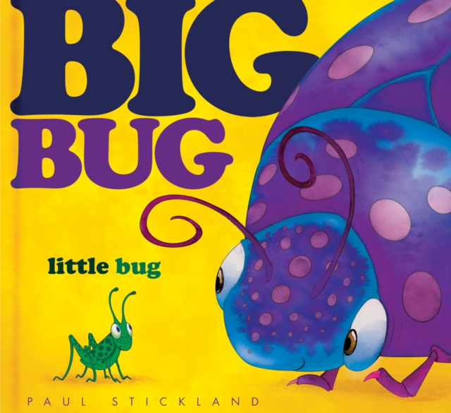 Big Bug, Little Bug, Hardback Book