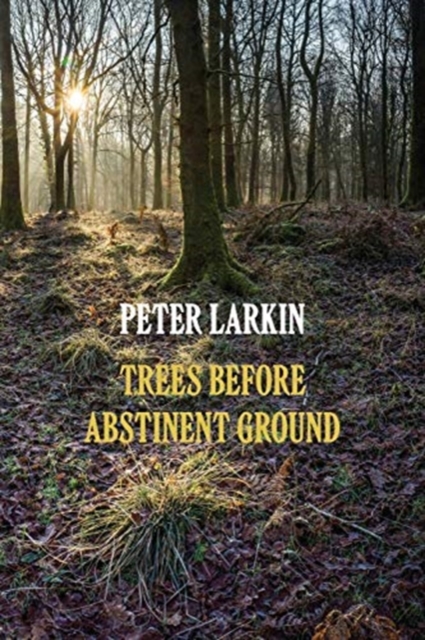 Trees Before Abstinent Ground, Paperback / softback Book