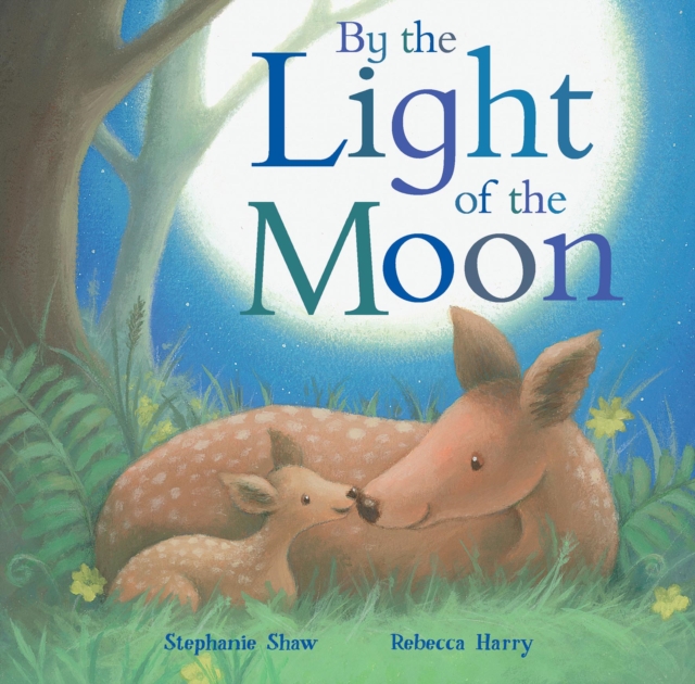 By the Light of the Moon, Board book Book
