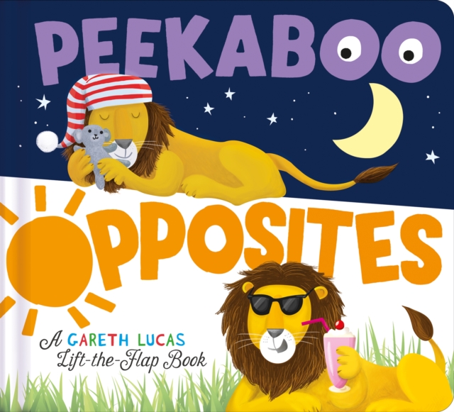 Peekaboo Opposites, Novelty book Book