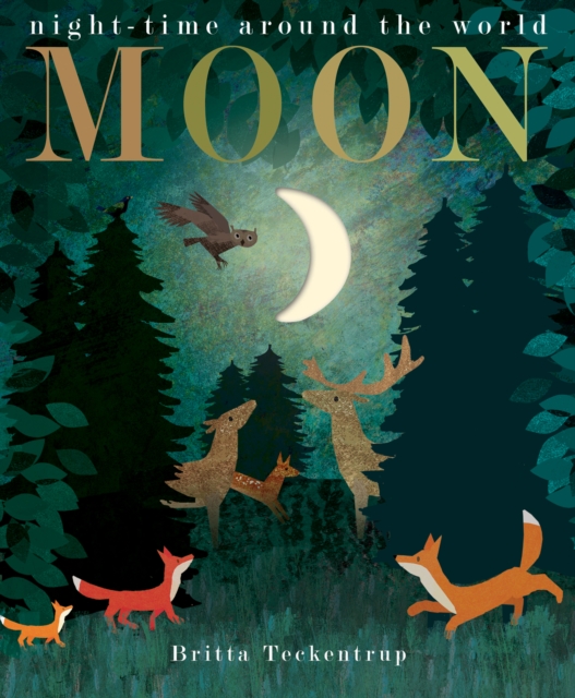 Moon : night-time around the world, Hardback Book