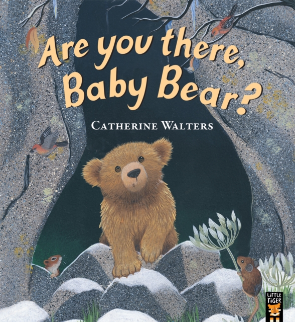 Are You There, Baby Bear?, Paperback / softback Book