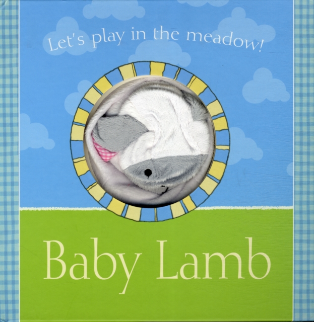 Baby Lamb, Hardback Book