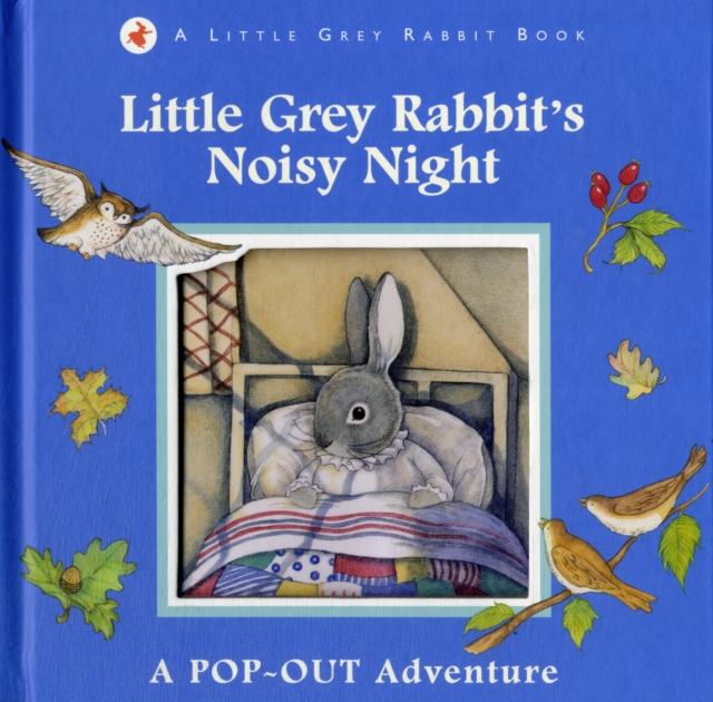 Little Grey Rabbit's Noisy Night, Hardback Book