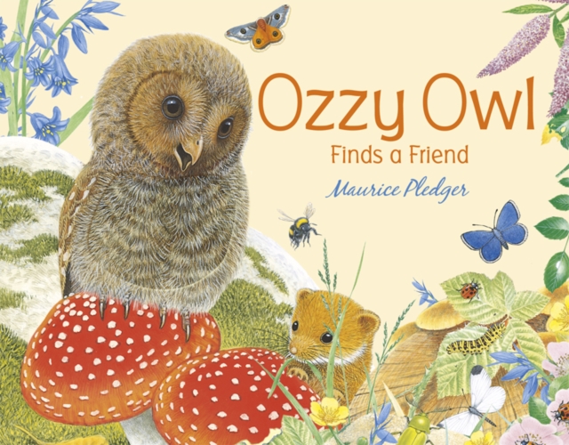 Ozzy Owl Finds a Friend, Board book Book