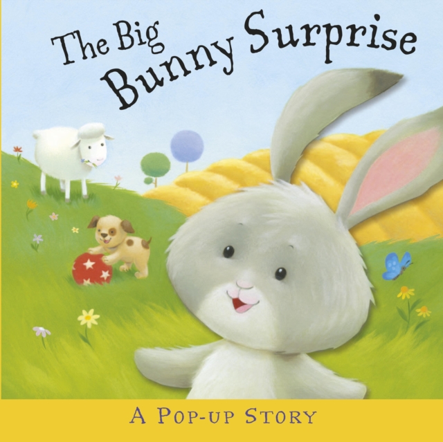 The Big Bunny Surprise, Hardback Book
