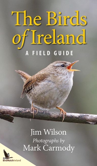 The Birds of Ireland, Paperback / softback Book