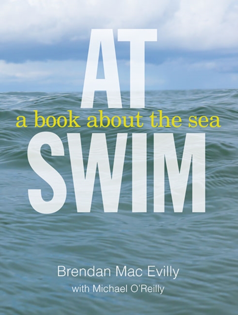 At Swim, Paperback / softback Book