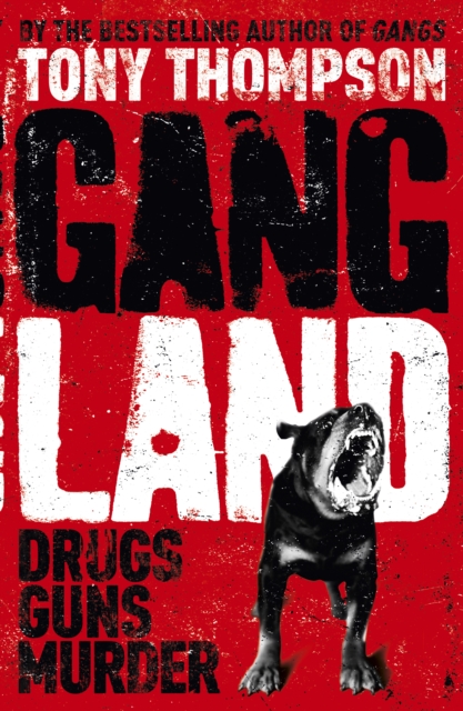 Gang Land : From footsoldiers to kingpins, the search for Mr Big, EPUB eBook