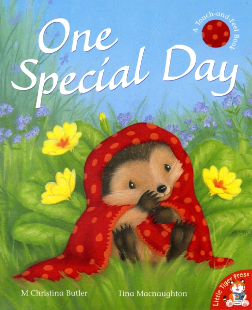 One Special Day, Paperback / softback Book