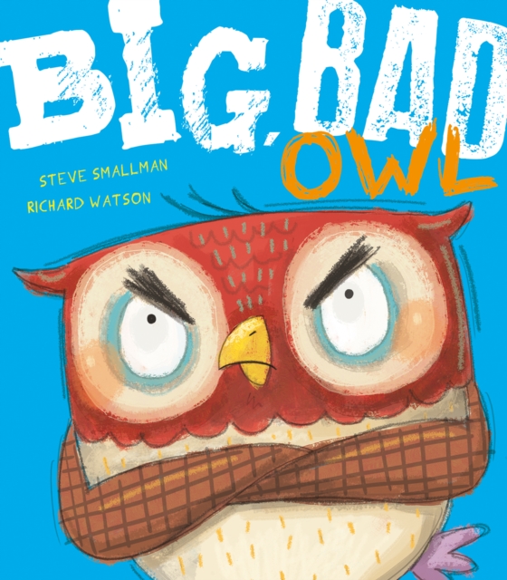 Big, Bad Owl, Paperback / softback Book