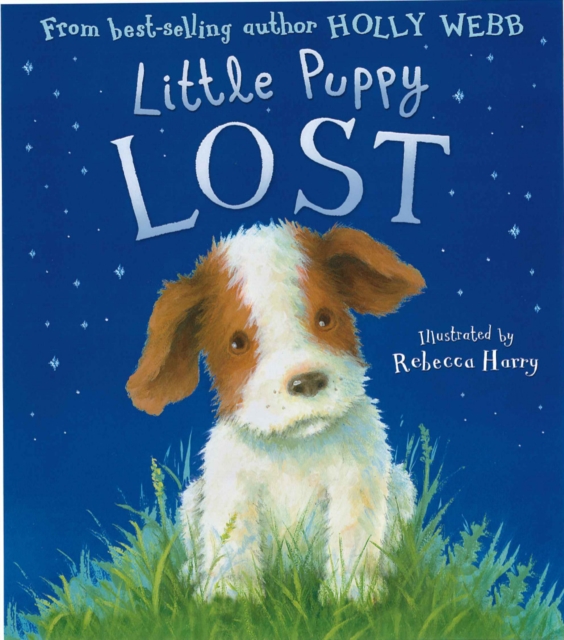 Little Puppy Lost, Paperback / softback Book