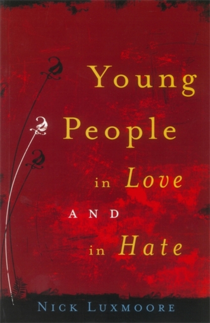 Young People in Love and in Hate, Paperback / softback Book