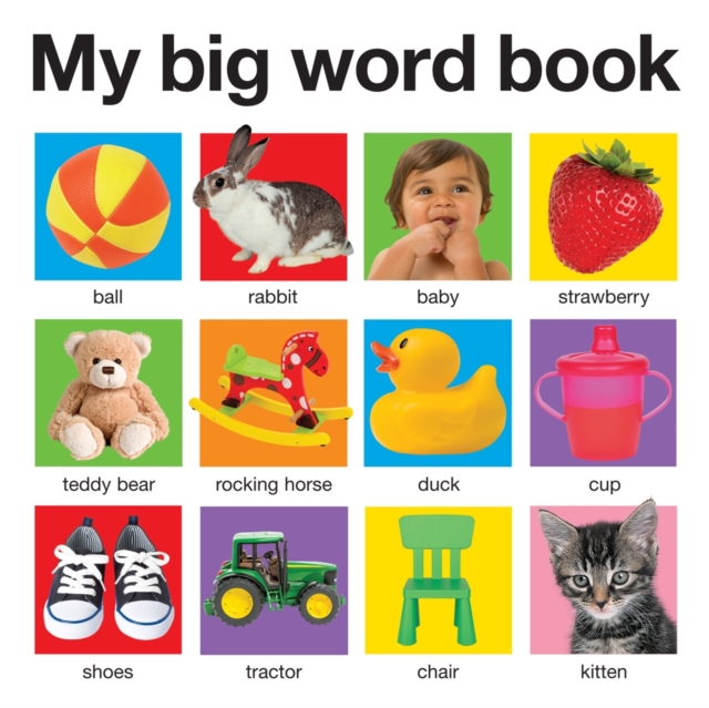 My Big Word Book : My Big Books, Board book Book
