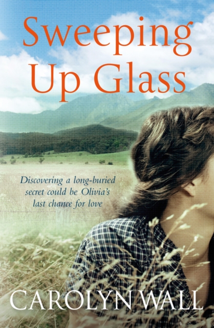 Sweeping Up Glass, EPUB eBook