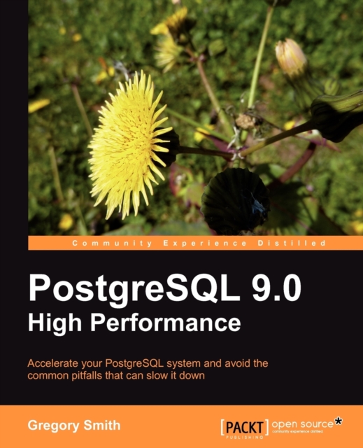 PostgreSQL 9.0 High Performance, Electronic book text Book