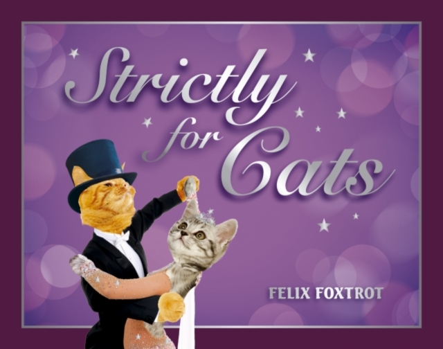 Strictly for Cats : The Hottest Cat-Dancing Competition in Town!, Hardback Book