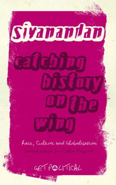 Catching History on the Wing : Race, Culture and Globalisation, PDF eBook