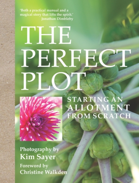 The Perfect Plot : Starting an Allotment from Scratch, Hardback Book