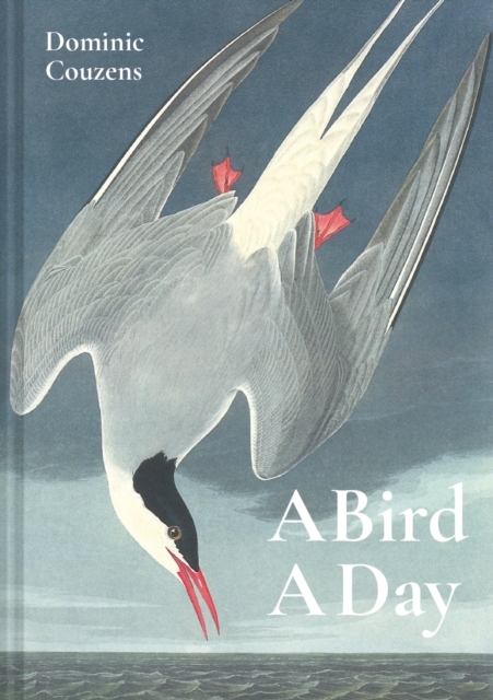 A Bird A Day, EPUB eBook