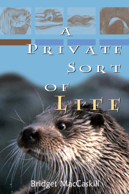 A Private Sort of Life, EPUB eBook